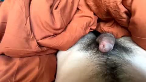 imakeucumonmyface online show from February 25, 9:24 pm