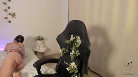 Aurora online show from November 17, 1:11 am