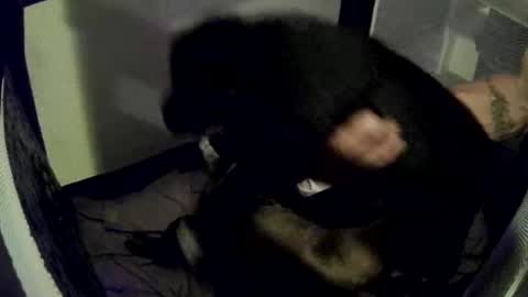 Snapshot of imtru chatting on February 14, 4:04 am imtru online show from February 14, 4:04 am