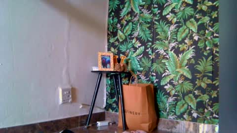 Snapshot of indianjasmin chatting on July 21, 6:38 am priya online show from July 21, 6:38 am