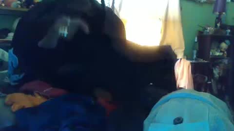 indigo_scorpio online show from October 13, 10:10 pm