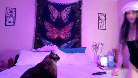 Snapshot of indigobay chatting on February 3, 5:05 am Indigo Bay online show from February 3, 5:05 am