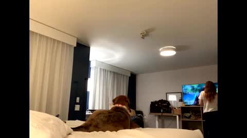 IntoTheWoodsWeGo online show from November 27, 1:51 am