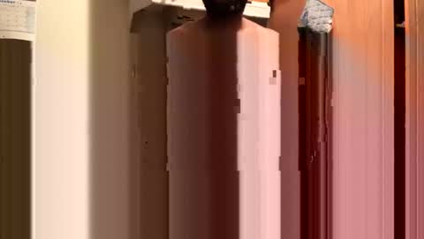 inyourmouthagain online show from October 8, 9:29 am