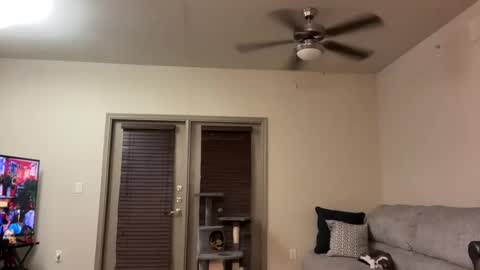 Snapshot of irissweets chatting on March 12, 4:41 am irissweets online show from March 12, 4:41 am