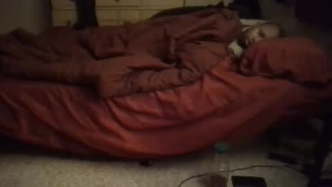 SexEngine88 online show from February 2, 12:42 am