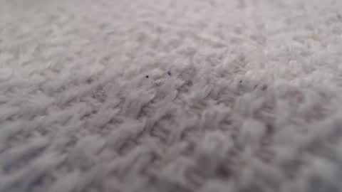 Snapshot of ironman383838 chatting on October 20, 9:59 pm ironman383838 online show from October 20, 9:59 pm