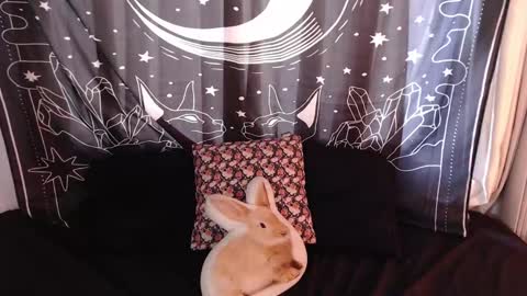 Snapshot of isabella__dark chatting on January 3, 7:29 pm online show from January 3, 7:29 pm