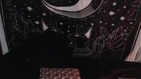Snapshot of isabella__dark chatting on January 8, 1:42 am online show from January 8, 1:42 am