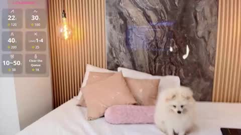 Snapshot of isadora_14 chatting on October 13, 2:28 pm ISADORA online show from October 13, 2:28 pm