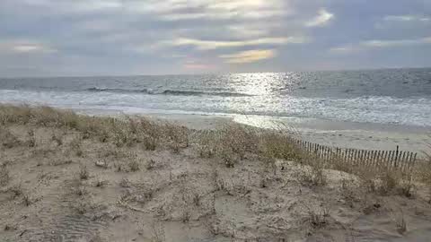 Jim online show from August 1, 9:19 am