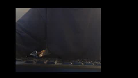 ital25usa online show from January 11, 2:11 pm