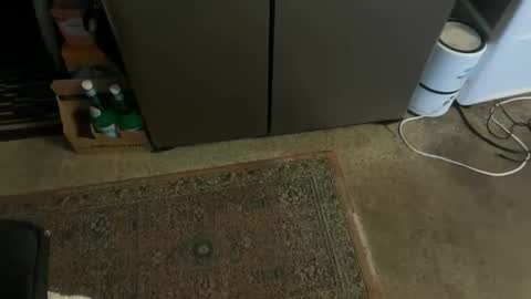 Tony online show from November 3, 3:24 pm