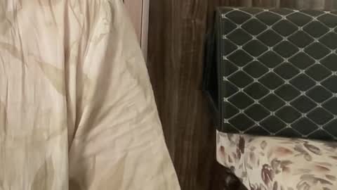 Raje online show from November 26, 7:31 am