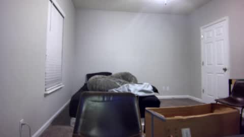 TARZAN online show from December 13, 7:04 am