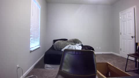 TARZAN online show from December 13, 6:49 pm