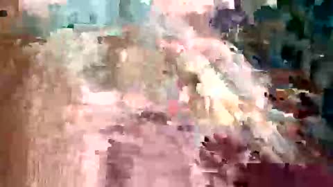 ivan2925 online show from February 3, 3:48 am