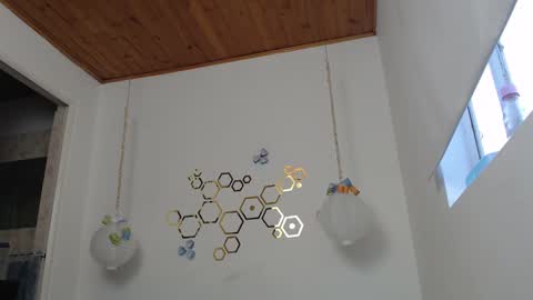 Snapshot of ivana_rose chatting on March 2, 10:59 pm Adris online show from March 2, 10:59 pm