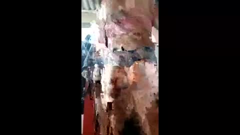 ivanaltrans62 online show from January 11, 4:50 am