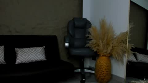 Snapshot of ivy_li chatting on January 18, 11:54 am Daniela online show from January 18, 11:54 am