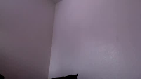 Snapshot of j0nnyk1ng chatting on February 4, 6:27 pm Mugen online show from February 4, 6:27 pm