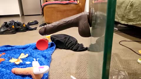 j220231 online show from December 4, 12:25 pm