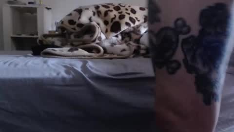 Snapshot of j3rkz chatting on December 13, 11:21 pm J3RKZ online show from December 13, 11:21 pm