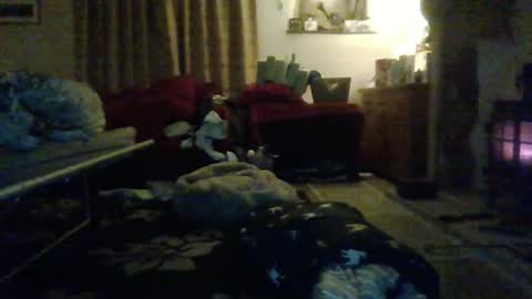 Snapshot of j4ckcock chatting on January 1, 12:43 am J4ckcock online show from January 1, 12:43 am