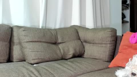 Calix  Independient model Insta and twt Calixsnake online show from January 23, 5:35 am