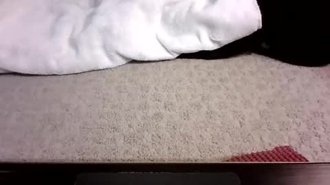 jack_wonder912 online show from September 13, 4:12 am