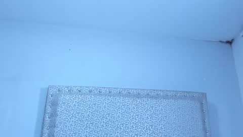 Snapshot of jackblanco_ chatting on January 25, 4:02 am Jack White online show from January 25, 4:02 am