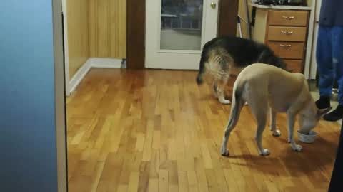 funtimes49203 online show from January 10, 2:08 pm