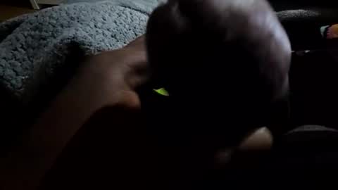 jackwiskyhoney online show from January 19, 3:21 am