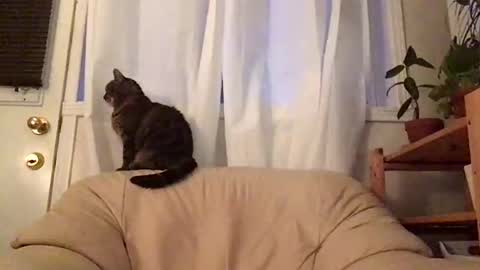 Jacob online show from October 19, 11:00 am