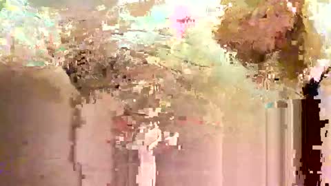 Snapshot of jadedmoshier chatting on November 28, 9:01 am jadedmoshier online show from November 28, 9:01 am