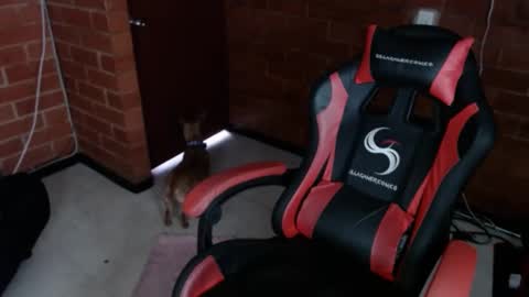 Snapshot of jadesexfun chatting on March 12, 2:45 pm jadesexfun online show from March 12, 2:45 pm