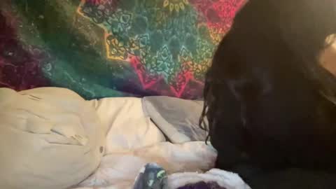 Snapshot of jadexbabe chatting on January 27, 11:54 am Jadexbabe online show from January 27, 11:54 am