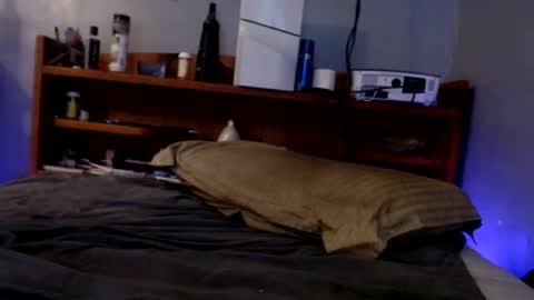 what you in too online show from September 14, 9:19 am