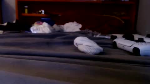 what you in too online show from September 20, 2:23 am