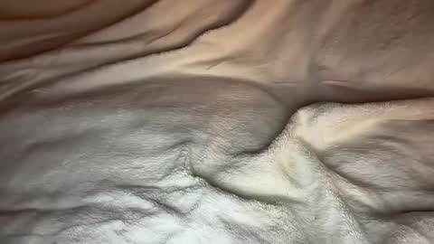 Snapshot of jamesdean0101 chatting on January 14, 10:47 pm jamesdean0101 online show from January 14, 10:47 pm