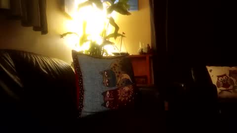 Snapshot of jamesloveridge901 chatting on October 25, 2:24 pm jamesloveridge901 online show from October 25, 2:24 pm