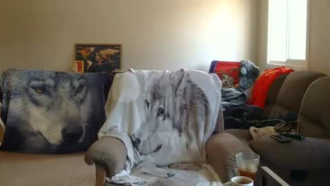 Snapshot of jameswolf777 chatting on December 22, 8:06 pm jameswolf777 online show from December 22, 8:06 pm