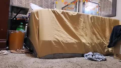 Bootyshows online show from December 2, 12:43 pm