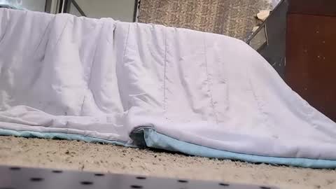 Snapshot of jamwarnerone chatting on February 20, 3:45 pm Bootyshows online show from February 20, 3:45 pm