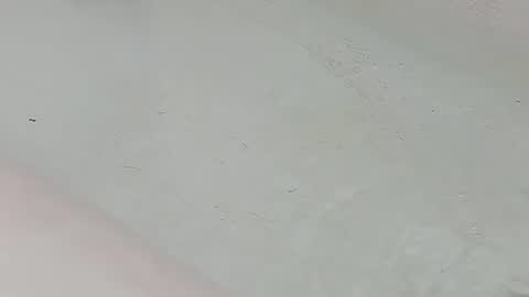 Bootyshows online show from July 25, 1:58 am