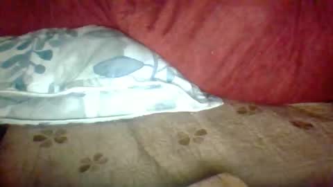 Janne online show from November 25, 2:39 pm