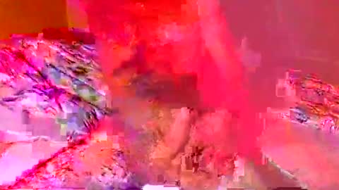 jardinflowers online show from November 6, 3:18 am