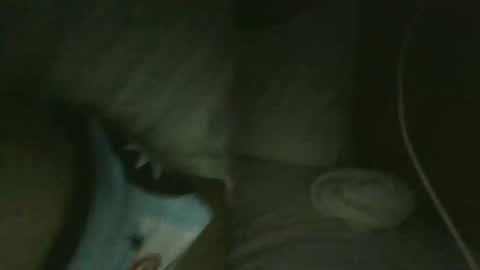 Snapshot of jarrettdainty559 chatting on December 18, 8:31 am jarrettdainty559 online show from December 18, 8:31 am