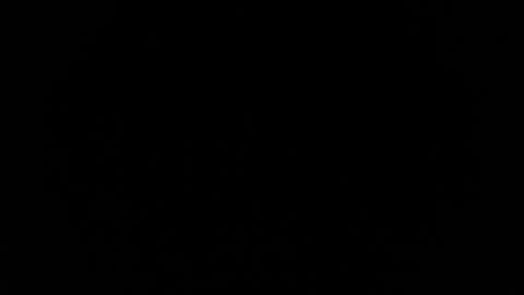 jasmine_star12 online show from January 12, 7:30 pm