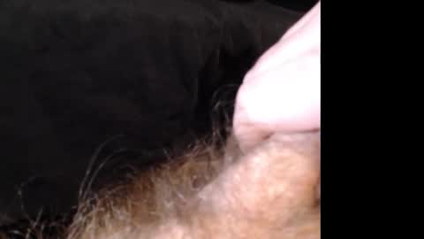 Snapshot of jasoncummings chatting on December 14, 2:53 pm Jason online show from December 14, 2:53 pm